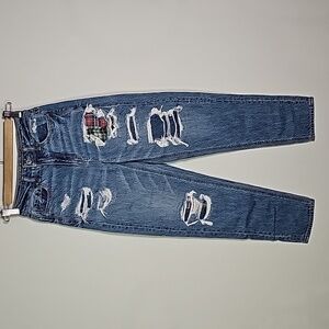 American Eagle 000 regular fit straight leg mom jeans
